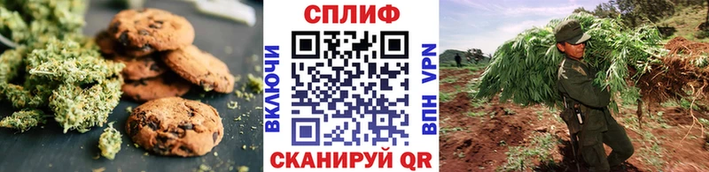 Canna-Cookies конопля Нязепетровск