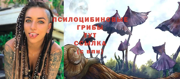 мет Армянск