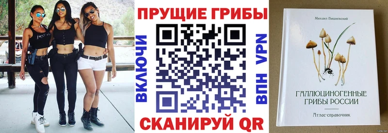 дарк нет какой сайт  Нязепетровск  Псилоцибиновые грибы мицелий 